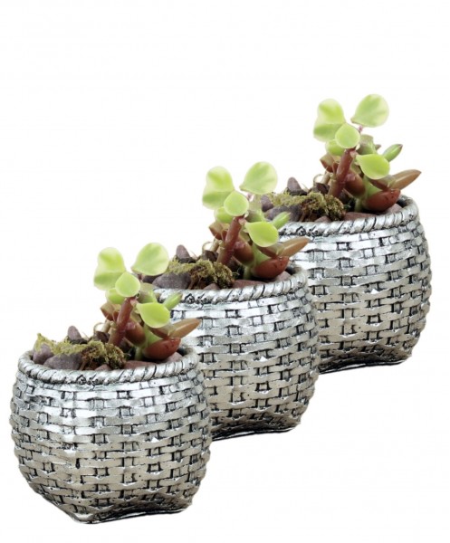 Mini Çiçek Saksı Küçük Sukulent Gümüş Eskitme Kaktüs Saksısı 3lü Set Sepet Örgü Model